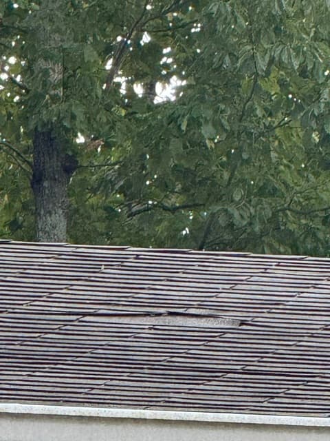 Damaged exterior wall paneling