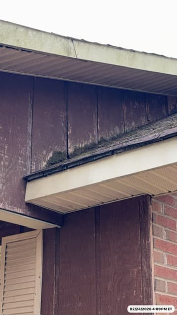 Exterior wood rot and deterioration